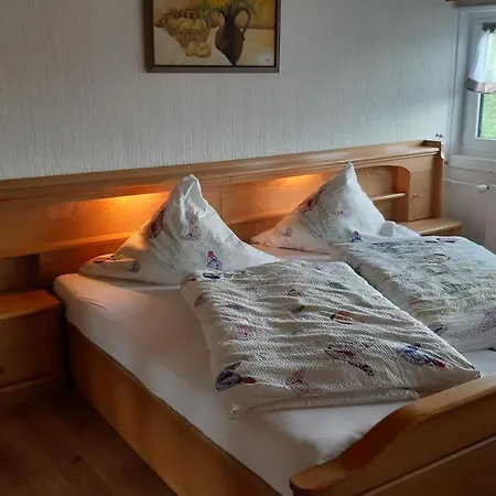 Haus Im Strycktal Lägenhet Willingen (Upland)