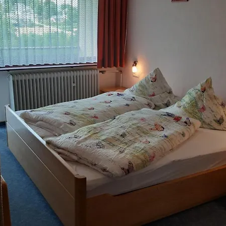 Apartmán Haus Im Strycktal Willingen (Upland)