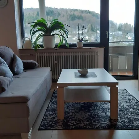 Haus Im Strycktal Willingen (Upland)